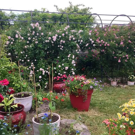 Maison Confortable + Jardin Souvigny